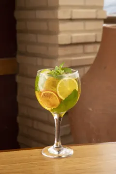 Gin Tropical